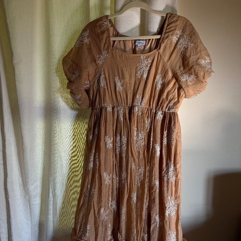 Polgram Tan Embroidered Maxi Dress